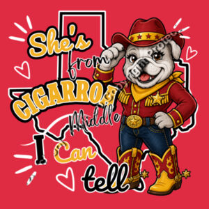 04-000 - Softstyle ® T Shirt Design
