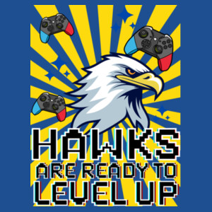 Level up Hawks 02-302 - Youth Heavy Cotton 100% Cotton T Shirt Design