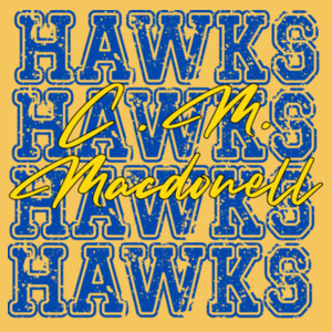 Hawks 4X 02-303 - Youth Heavy Cotton 100% Cotton T Shirt Design