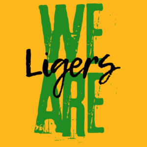 We Are Ligers 02-513 - Youth Heavy Cotton 100% Cotton T Shirt Design