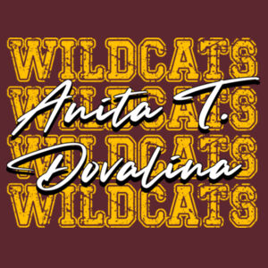 Wildcats 4X 02-100 - Youth Heavy Cotton 100% Cotton T Shirt Design