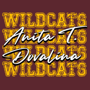 Wildcats 4X 02-100 - Youth Heavy Cotton 100% Cotton T Shirt Design