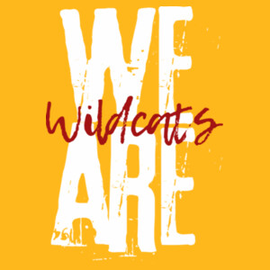 We Are Wildcats 20-608 - Youth Heavy Cotton 100% Cotton T Shirt Design