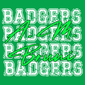 Bruni Badgers 4X 02-202 - Youth Heavy Cotton 100% Cotton T Shirt Design
