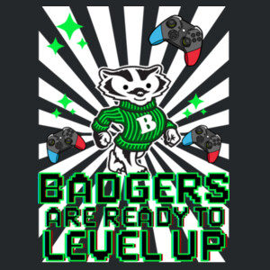 Level Up Badgers 20-901 - Youth Heavy Cotton 100% Cotton T Shirt Design