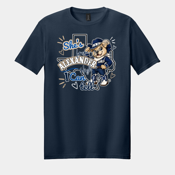 06A-004 - Softstyle ® T Shirt Thumbnail