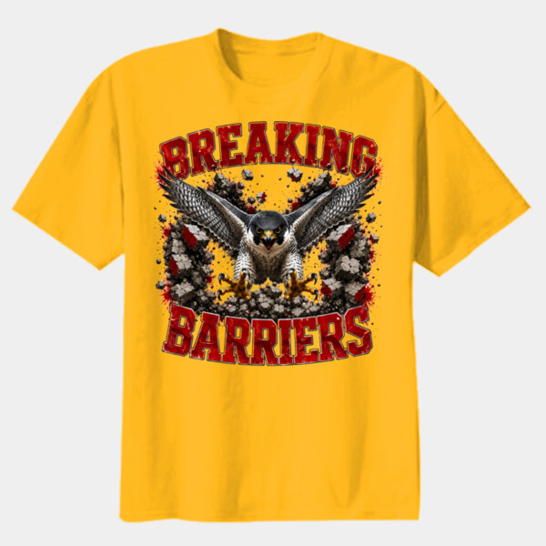 Breaking Barriers Falcons 20-403 - Youth Heavy Cotton 100% Cotton T Shirt Thumbnail