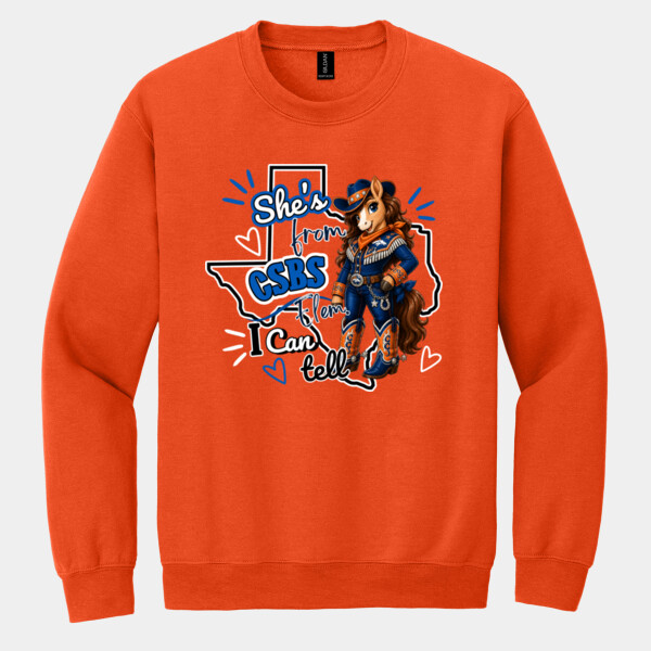 She's from CSBS I Can Tell 05A-105 - Heavy Blend Crewneck Sweatshirt Thumbnail