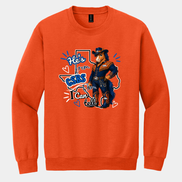 He's from CSBS I Can Tell 05A-109 - Heavy Blend Crewneck Sweatshirt Thumbnail