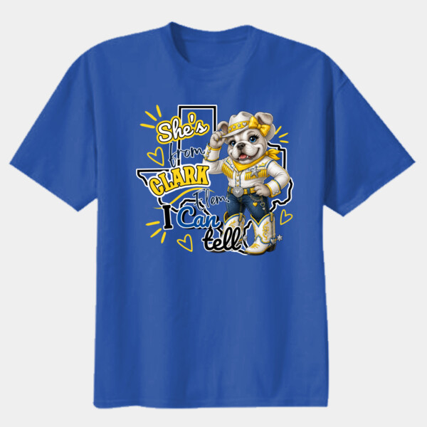 She's From Clark Elementary I Can Tell 05B-000 - Youth Heavy Cotton 100% Cotton T Shirt Thumbnail