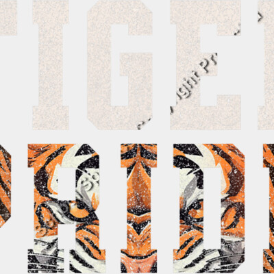 20A-307 Thumbnail