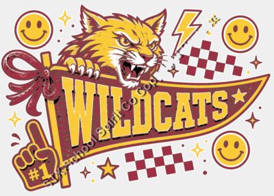 Wildcats-20-604